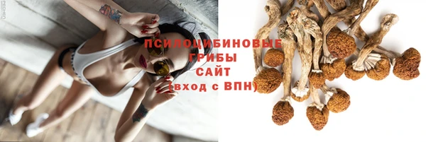 дмт Белоозёрский