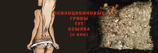 apvp Беломорск