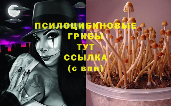 МДПВ Белокуриха