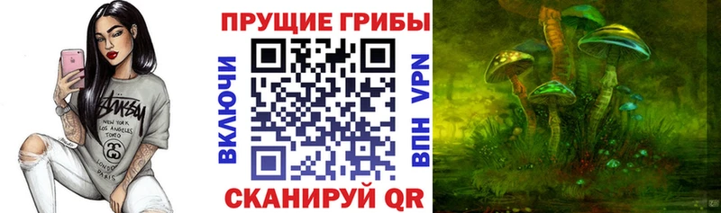 Галлюциногенные грибы Psilocybine cubensis  Купить закладки  Карабаново 